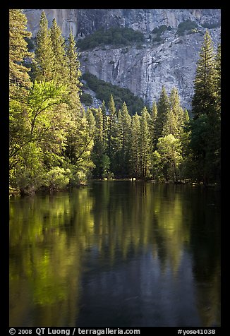 Trees reflected in river at the base of El Capitan in spring. Yosemite National Park, California, USA.