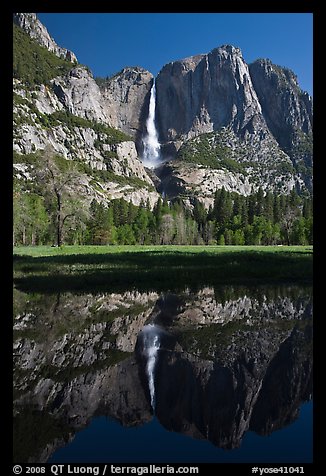 Yosemite Falls and meadow reflected in run-off pond, morning. Yosemite National Park, California, USA.