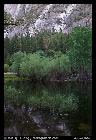 Refections and green trees, Mirror Lake. Yosemite National Park, California, USA.