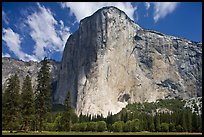 El Capitan. Yosemite National Park ( color)