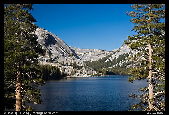 Tenaya Lake and Medlicott Dome framed by trees. Yosemite National Park, California, USA.