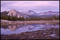 Lambert Dome and Sierra Crest peaks reflected in seasonal pond, dusk. Yosemite National Park ( color)