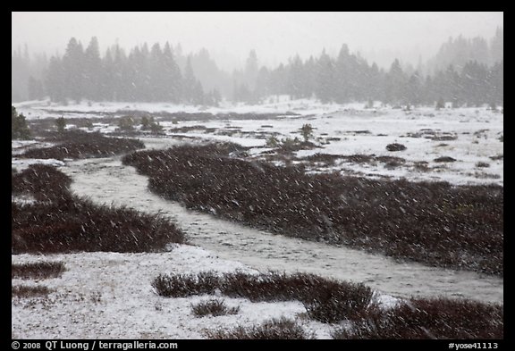 Falling snow streaks, river and meadow. Yosemite National Park, California, USA.