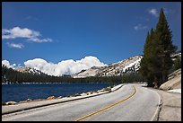 Highway hugging shore of Tenaya Lake. Yosemite National Park, California, USA. (color)