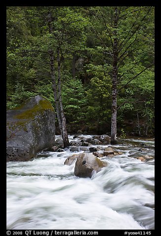 Merced River cascades, boulder, and trees, Happy Isles. Yosemite National Park (color)