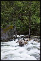 Merced River cascades, boulder, and trees, Happy Isles. Yosemite National Park ( color)