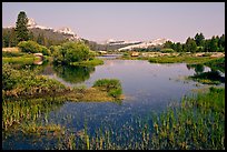 Tuolumne River and distant domes, early morning. Yosemite National Park ( color)