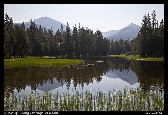 Mount Dana and Mount Gibbs reflected in lake, morning. Yosemite National Park, California, USA.