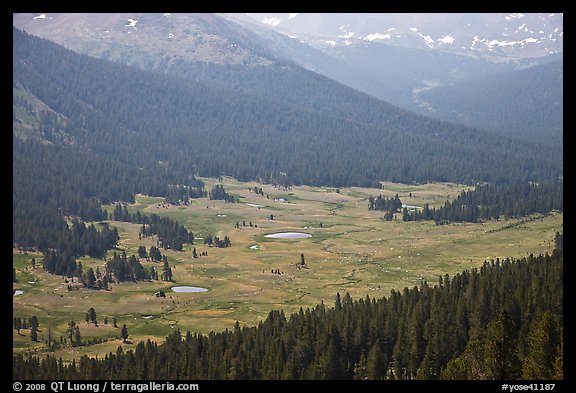 Dana Meadows seen from above, early summer. Yosemite National Park, California, USA.
