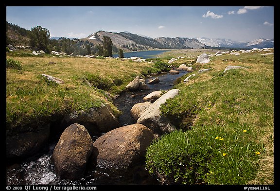 Alpine scenery with stream and distant Gaylor Lake. Yosemite National Park, California, USA.