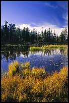 Siesta Lake, autumn afternoon. Yosemite National Park, California, USA. (color)