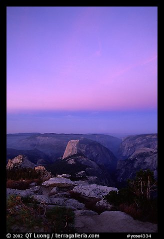 Half-Dome and Yosemite Valley under  pink hues of dawn sky. Yosemite National Park, California, USA.