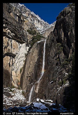 Lower Yosemite Falls and rock wall with snowy trees on rim. Yosemite National Park, California, USA.
