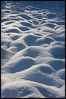 Snow mounds, Cook Meadow. Yosemite National Park ( color)