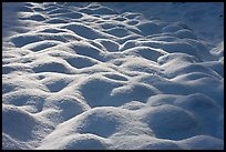 Rounded pattern of snow over grasses, Cook Meadow. Yosemite National Park ( color)