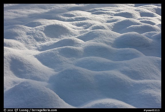 Snow pattern, Cook Meadow. Yosemite National Park, California, USA.