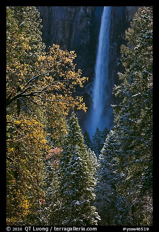 Bridalveil Fall after rare spring snow storm. Yosemite National Park (color)