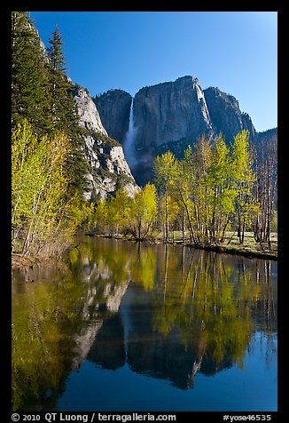 Yosemite Falls reflected in mirror-like Merced River, early spring. Yosemite National Park, California, USA.