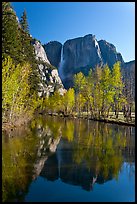 Yosemite Falls reflected in mirror-like Merced River, early spring. Yosemite National Park ( color)