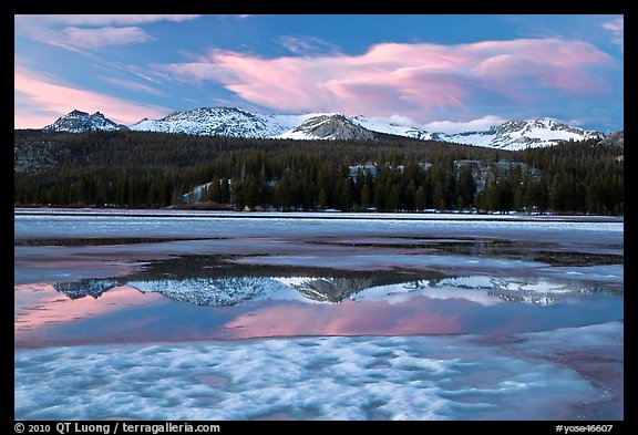 Peaks reflected in snow melt pool, Twolumne Meadows, sunset. Yosemite National Park, California, USA.