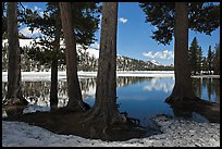 Tenaya Lake in the spring. Yosemite National Park ( color)