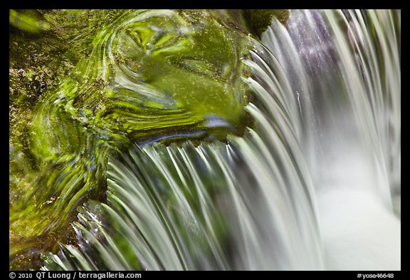 Fern Spring cascade. Yosemite National Park, California, USA.