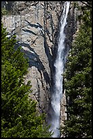 Trees, Ribbon Falls and cliffs. Yosemite National Park ( color)