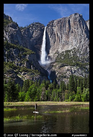 Man paddling in flooded meadow below Yosemite Falls. Yosemite National Park, California, USA.