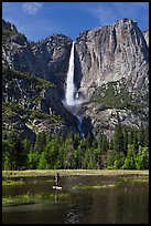 Man paddling in flooded meadow below Yosemite Falls. Yosemite National Park ( color)