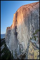 Last light on North-West face of Half-Dome. Yosemite National Park ( color)