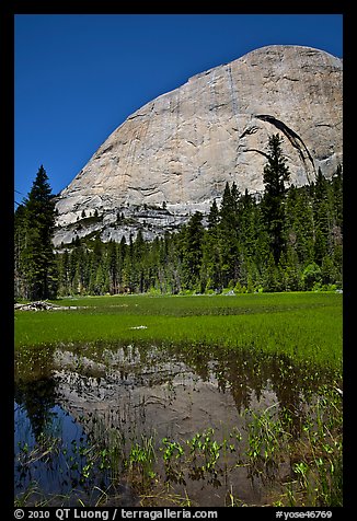 Half-Dome reflected in Lost Lake. Yosemite National Park (color)