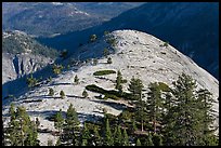 Granite exfoliation North Dome. Yosemite National Park ( color)