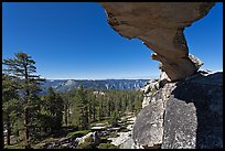 Indian Rock arch and forest, morning. Yosemite National Park ( color)