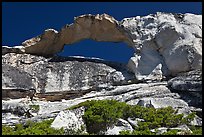 Rare granite arch, Indian Rock. Yosemite National Park, California, USA. (color)