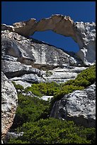Granite natural arch, Indian Rock. Yosemite National Park, California, USA. (color)
