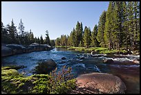 Lyell Fork of the Tuolumne River, afternoon. Yosemite National Park ( color)