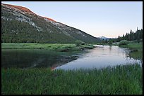 Lyell Canyon and Lyell Fork of the Tuolumne River, sunset. Yosemite National Park ( color)