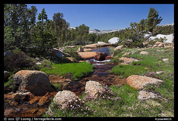 Stream and alpine meadow. Yosemite National Park (color)