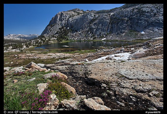 Alpine scenery with flowers, stream, lake, and mountains, Vogelsang. Yosemite National Park (color)