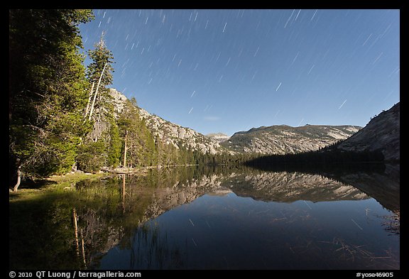 Merced Lake, tall trees, and stars. Yosemite National Park, California, USA.