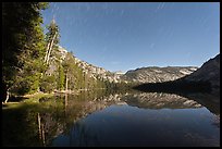 Merced Lake, tall trees, and stars. Yosemite National Park ( color)