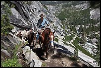 Woman leading horse pack train on trail, Upper Merced River Canyon. Yosemite National Park ( color)