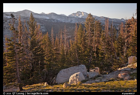Sunrise over forest and peaks. Yosemite National Park, California, USA.