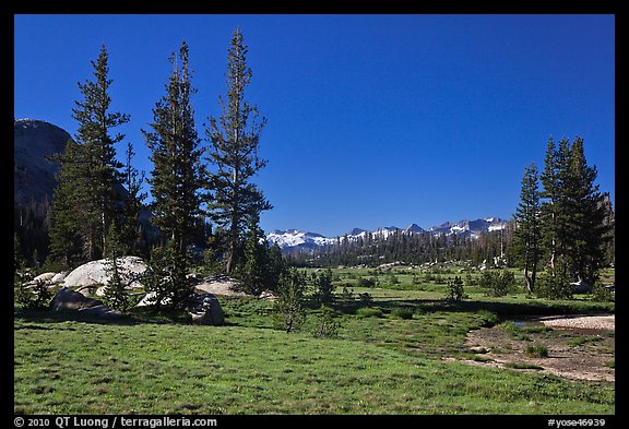 Long Meadow, morning. Yosemite National Park, California, USA.