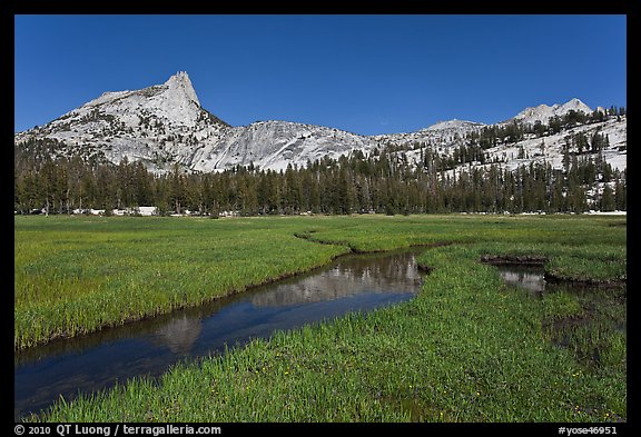 Meadow, stream, Cathedral range. Yosemite National Park, California, USA.