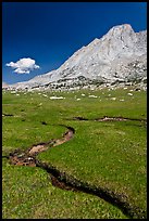 Alpine meadows, meandering stream, and Mount Conness. Yosemite National Park ( color)