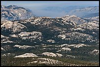 Distant view of the Grand Canyon of the Tuolumne. Yosemite National Park, California, USA.
