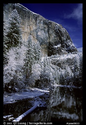 East Face of El Capitan and Merced River in winter. Yosemite National Park, California, USA.