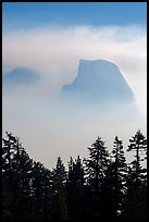 Half-Dome and Clouds Rest in fog above tree line. Yosemite National Park ( color)