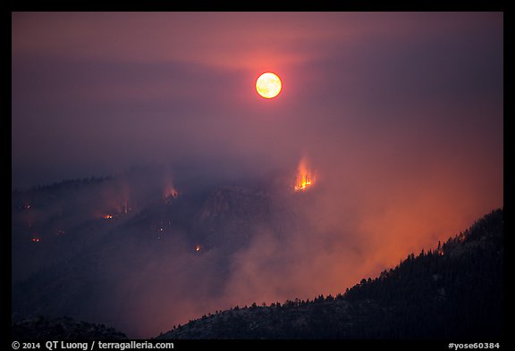 Forest fire and moon. Yosemite National Park, California, USA.